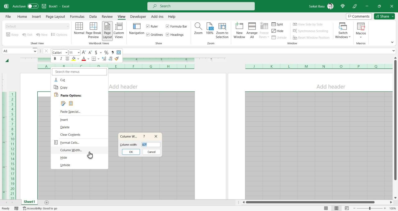 Excel Column Width