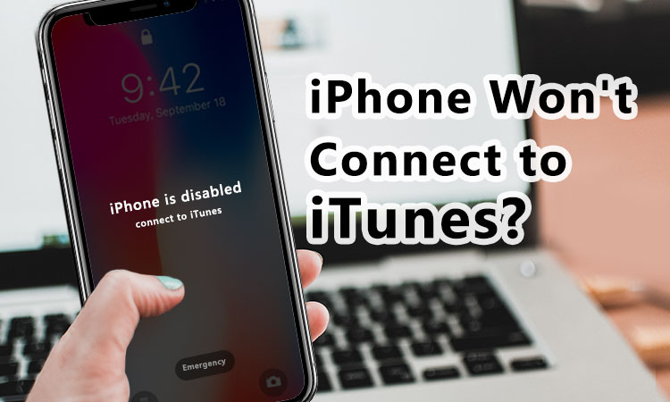 iPhone won\'t connect to itunes