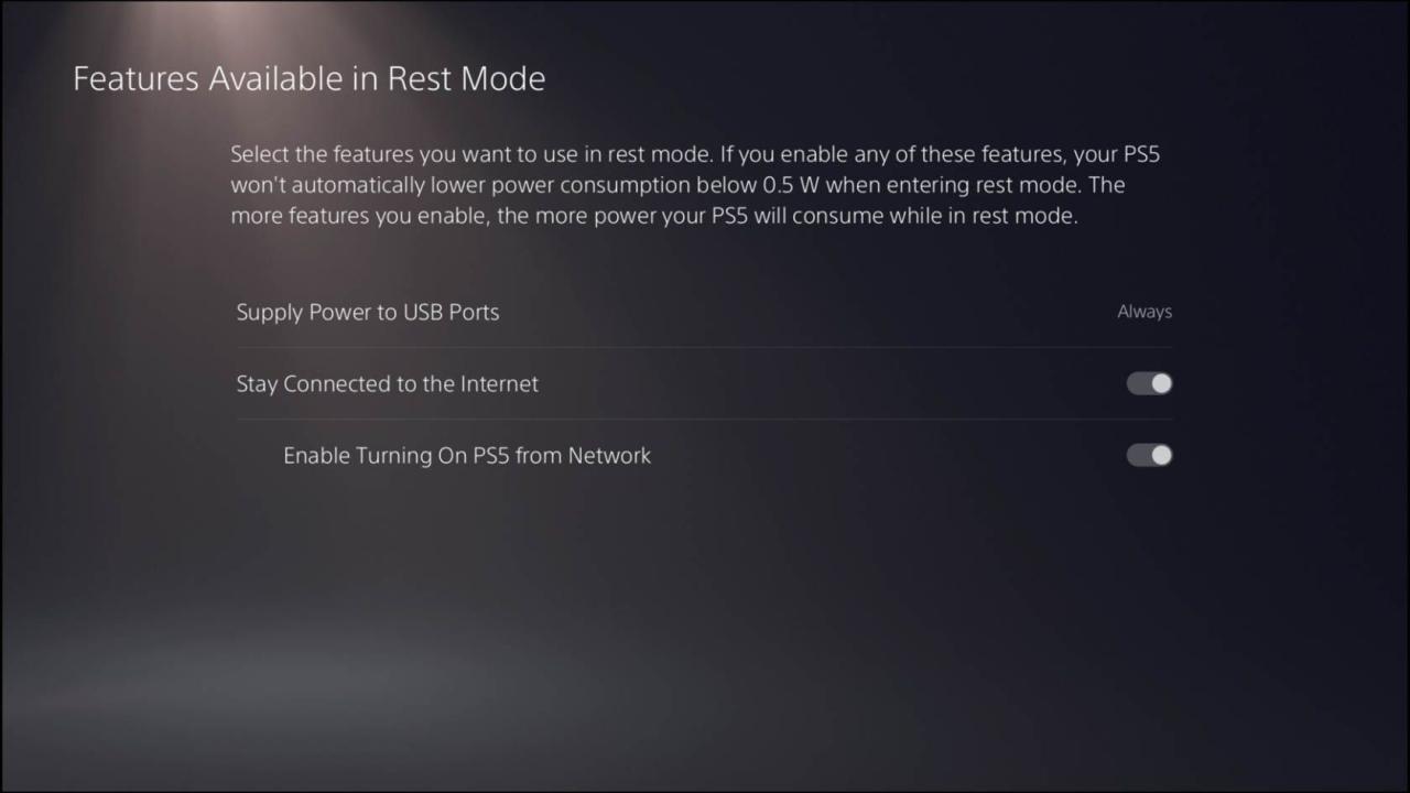 PS5 Rest Mode features