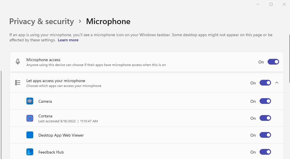 The Microphone access option 