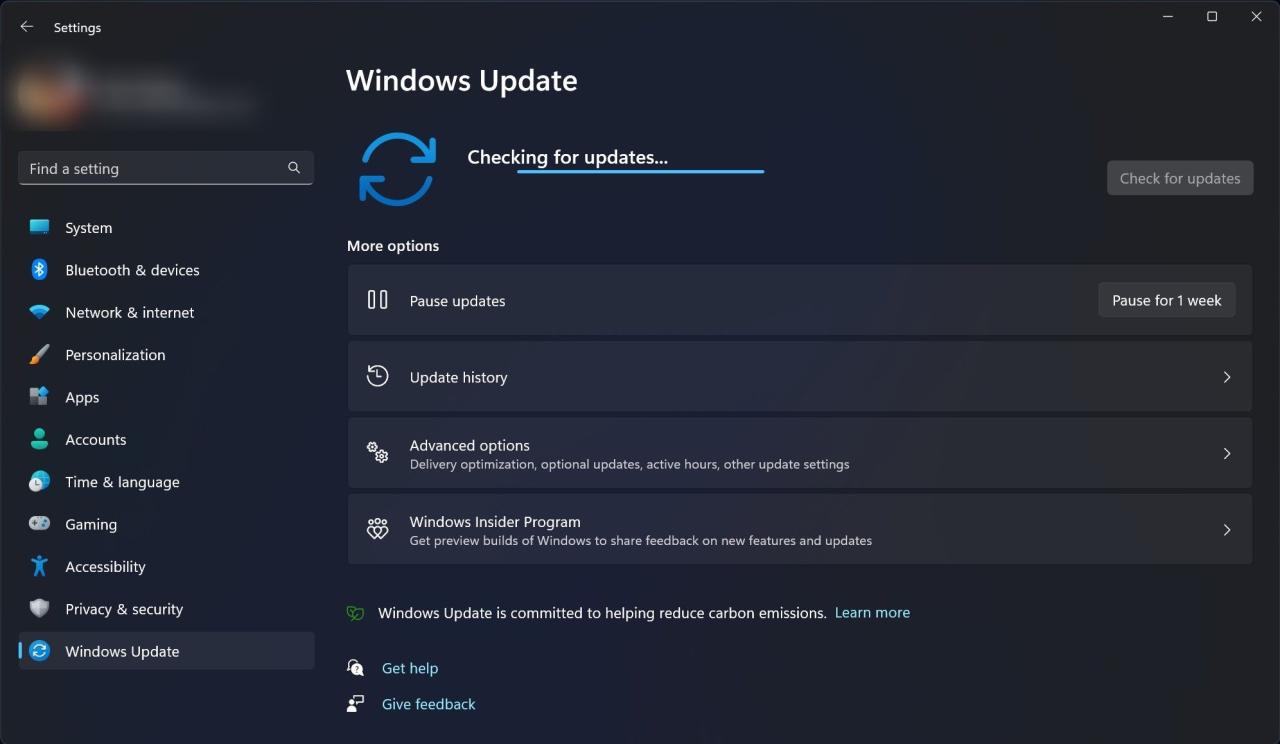 Windows 11 Update setting