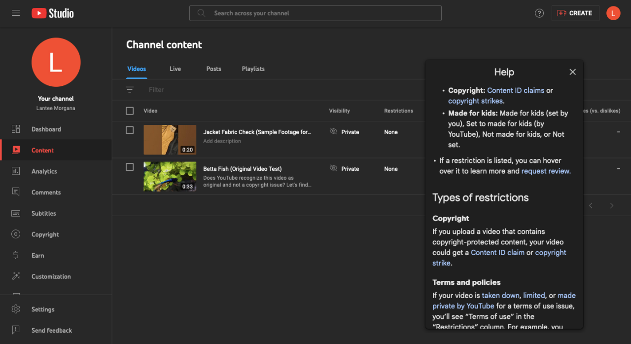 YouTube Studio copyright information plus content