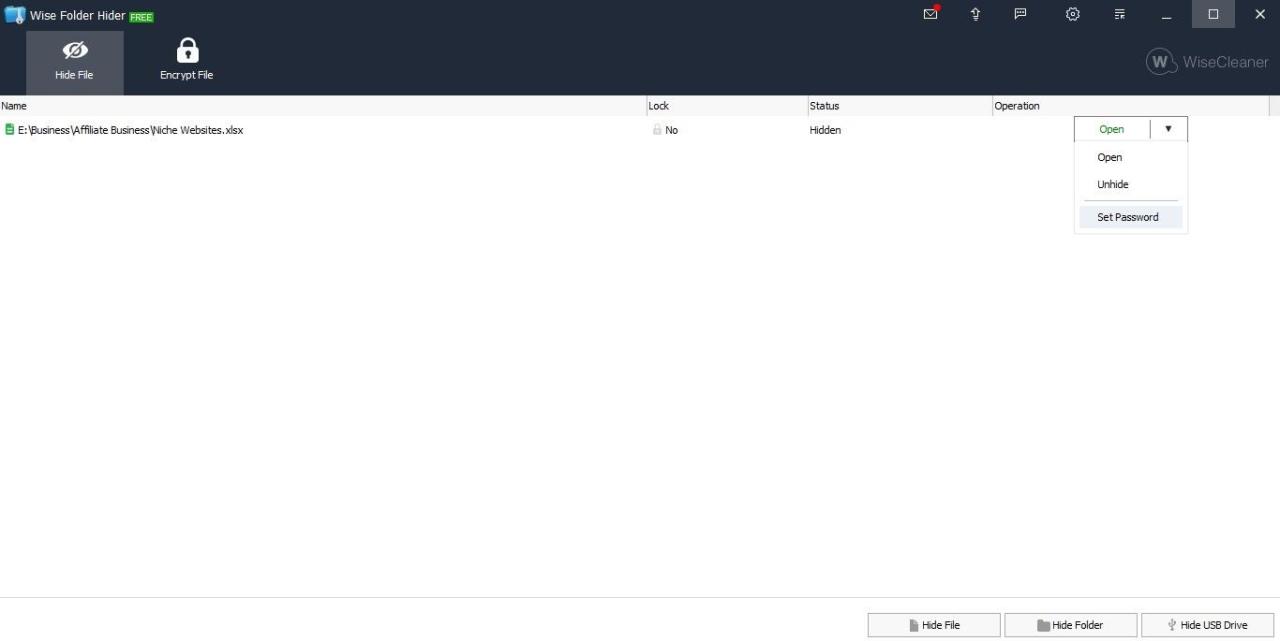 More Operation Options to Protect File in Wise Folder Hider Software