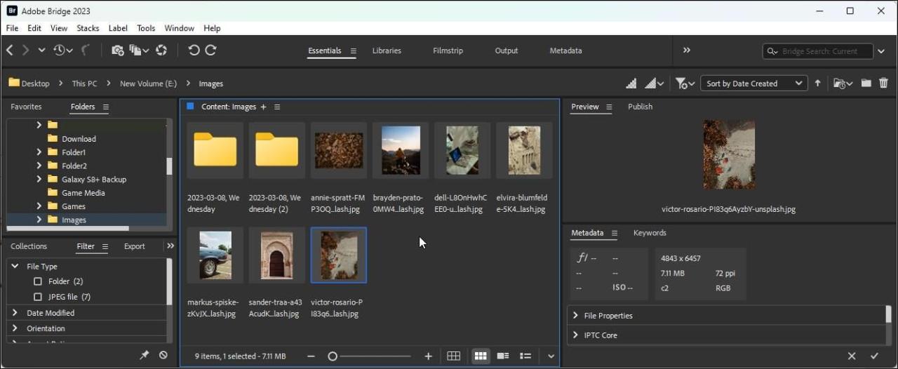 adobe bridge windows