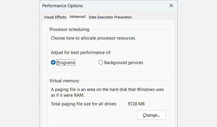 the Perfomance Options window on Windows