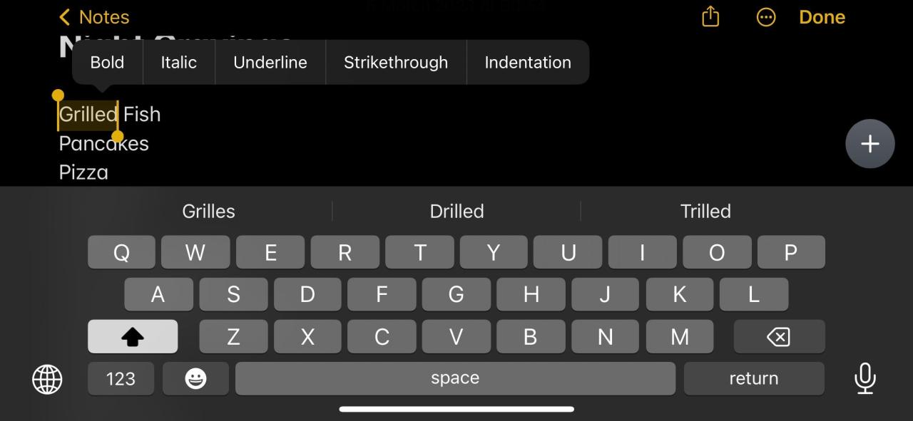 Screenshot of Apple Notes showing limited text formatting options