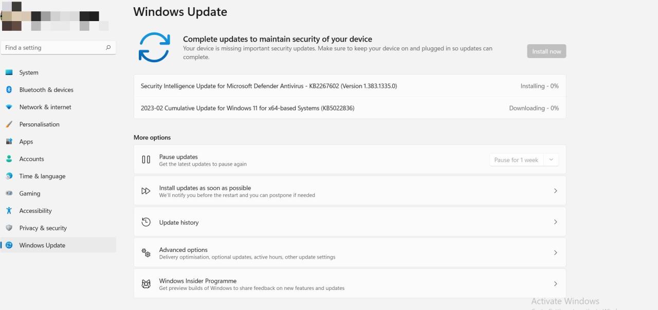 Screenshot Showing Windows 11 Updates Settings