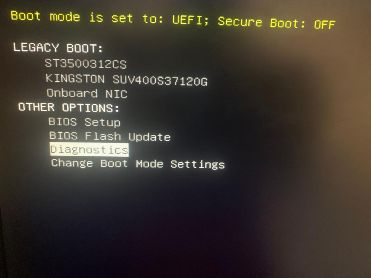 Selecting the Diagnostics Option in BIOS