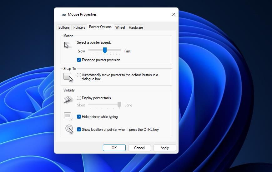 show-location-of-pointer-setting