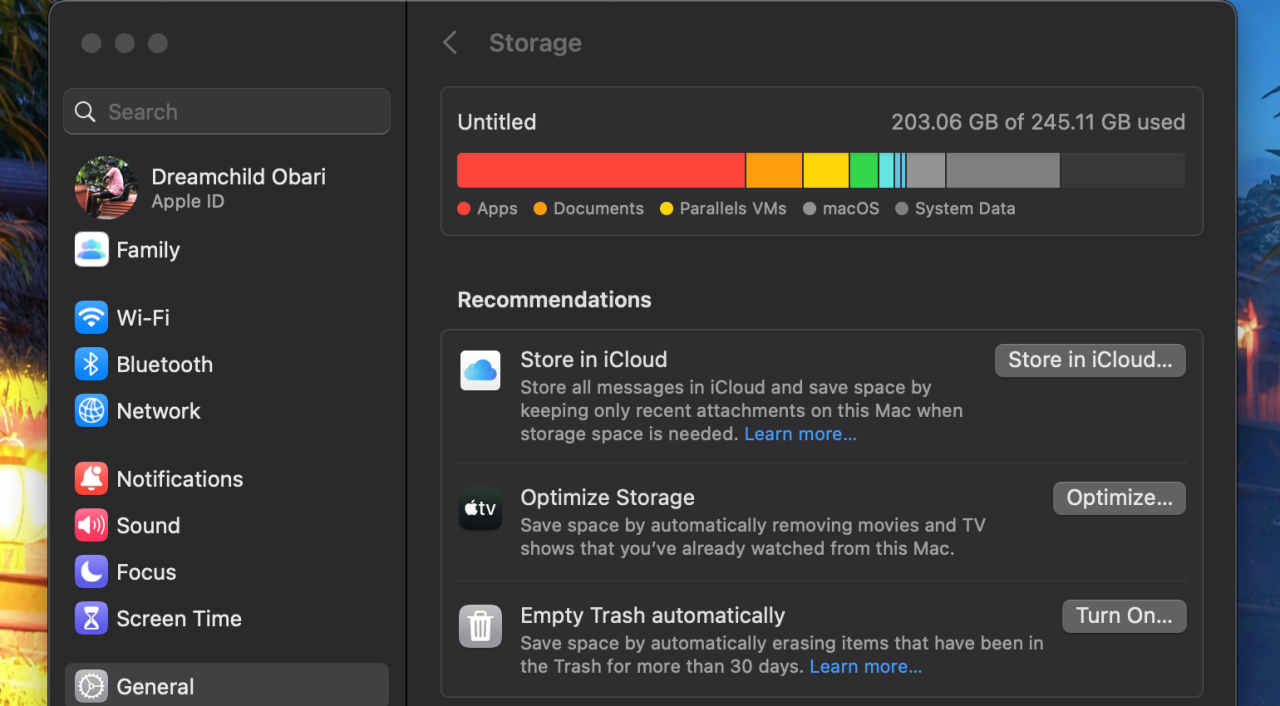 System Settings displaying storage space