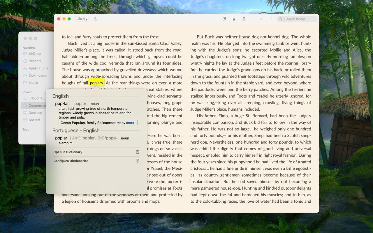 Using Look Up to check the meaning of the word poplar in a reading app