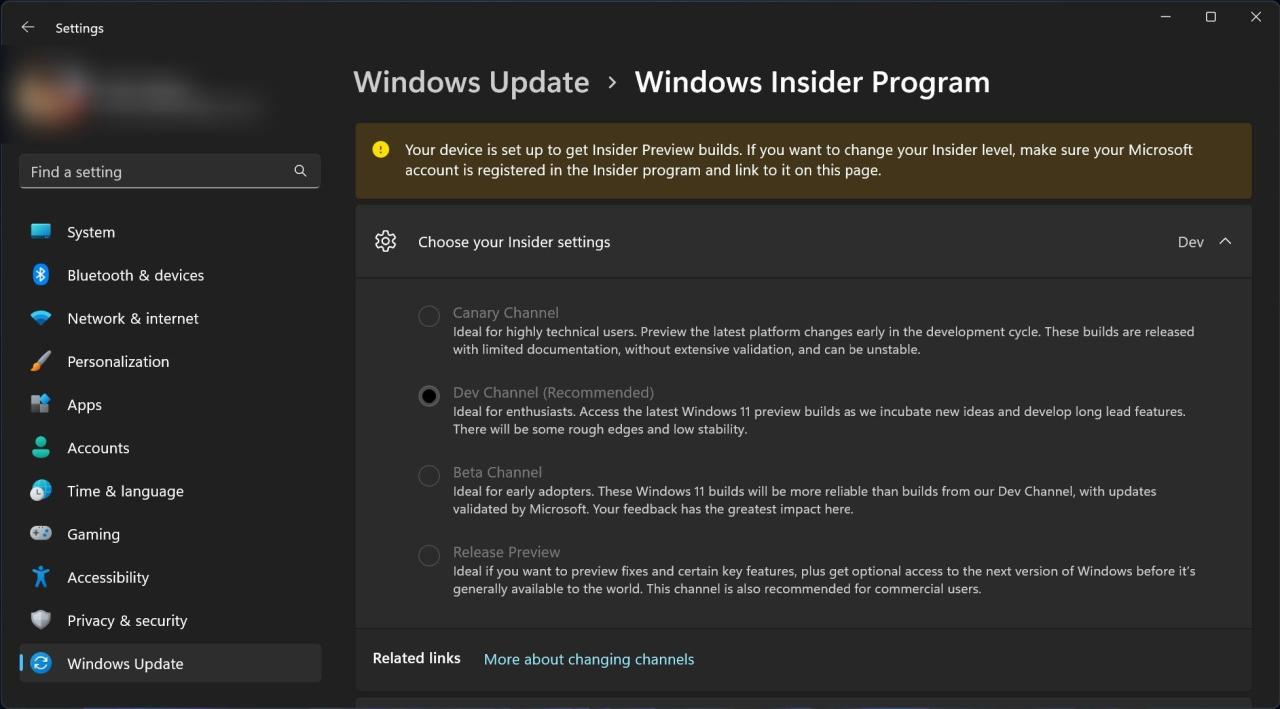 Windows Insider Program