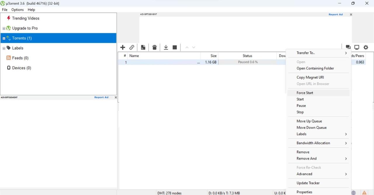 Click Force Start by Right-clicking on the Torrent Download
