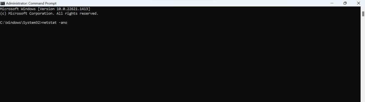 Run Netstat-ano Command in Command Prompt