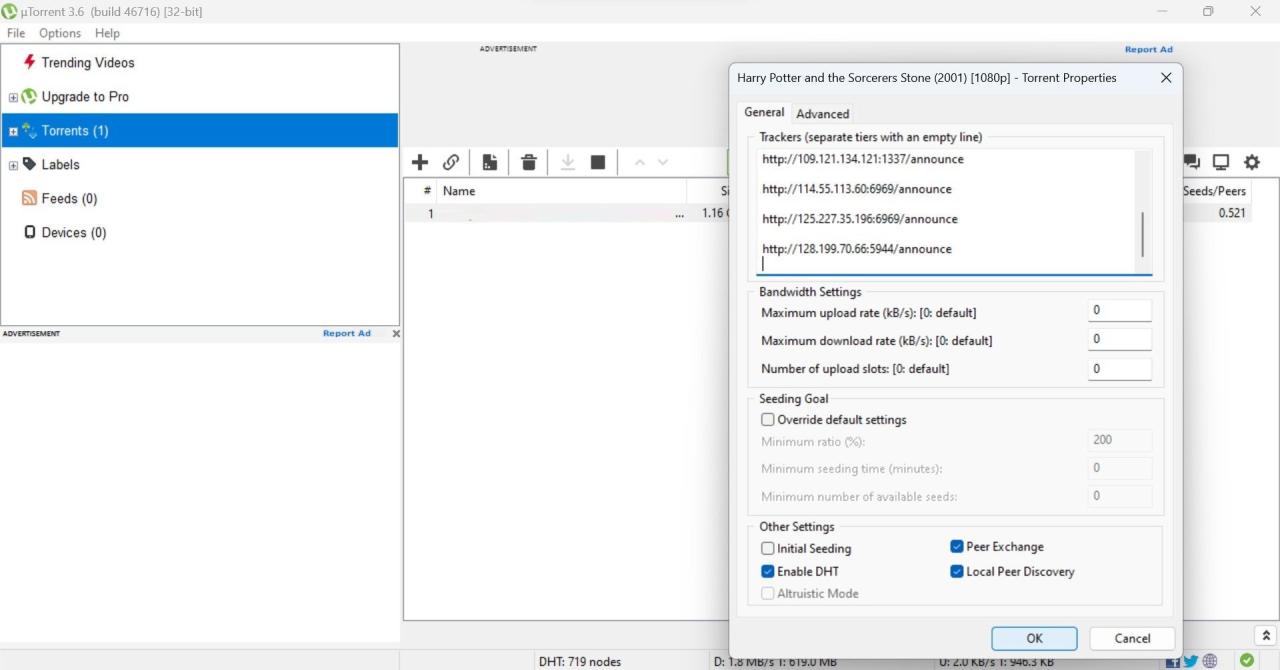 Paste the Copied Torrent Trackers List Under the Existing Trackers in Properties Window of Torrent Download