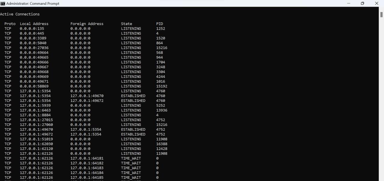 Find the Suspicious Process with Established Connection in Command Prompt