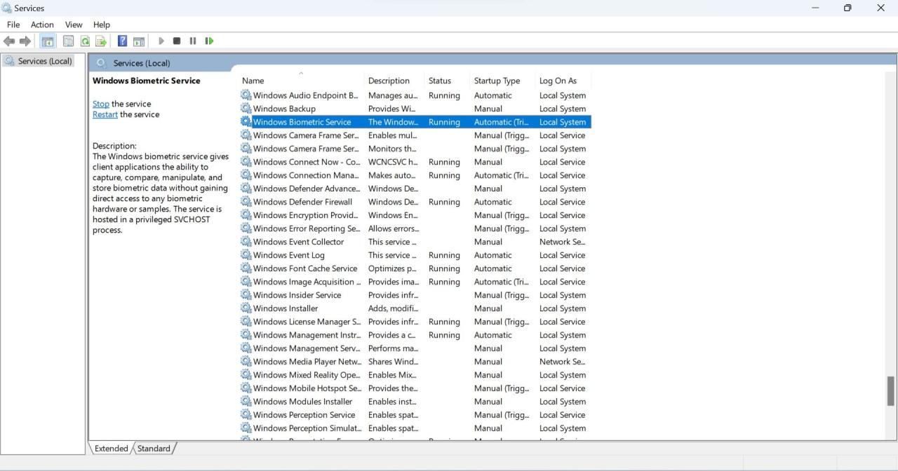 Locate Windows Biometric Service in Windows Services App