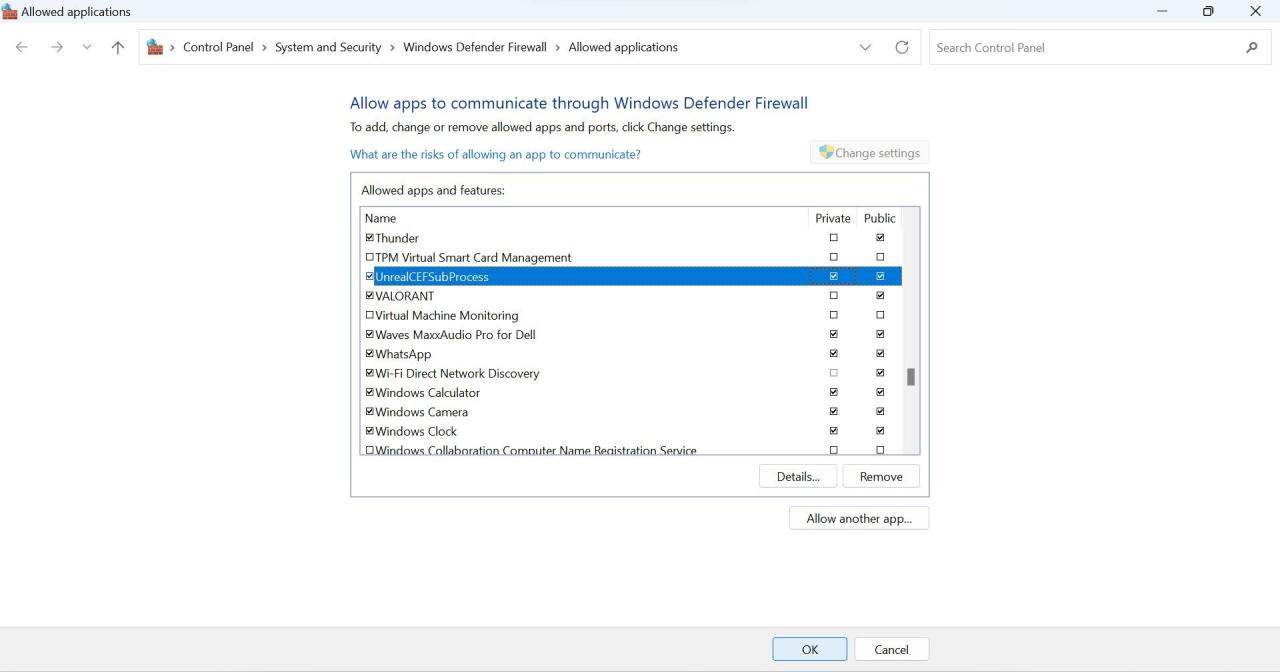 Click OK After Checking the Public and Private Boxes Next to the UnrealCEFSubprocess in the Windows Firewall Settings