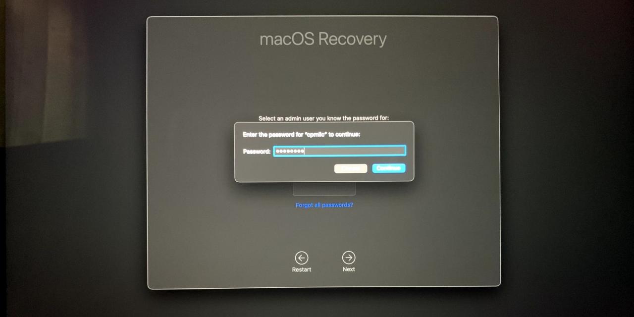 Admin password in macOS Recovery