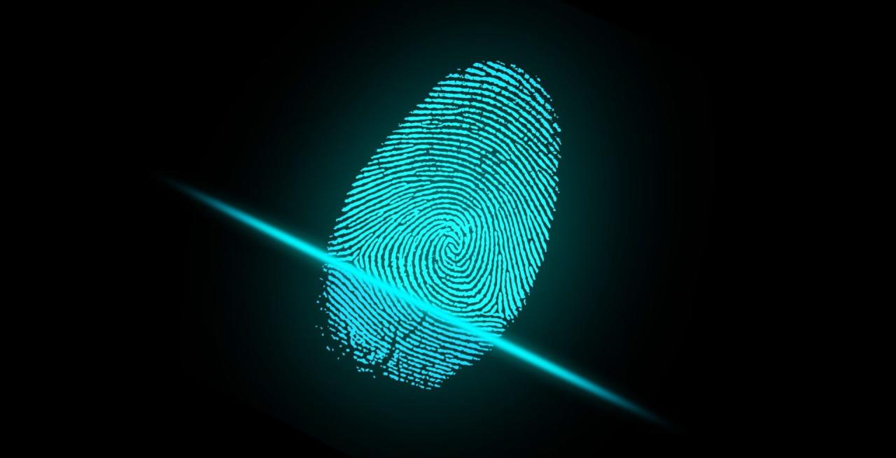 blue graphic of digital fingerprint scan