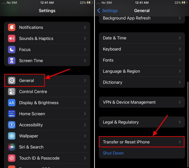 access transfer or reset iphone option