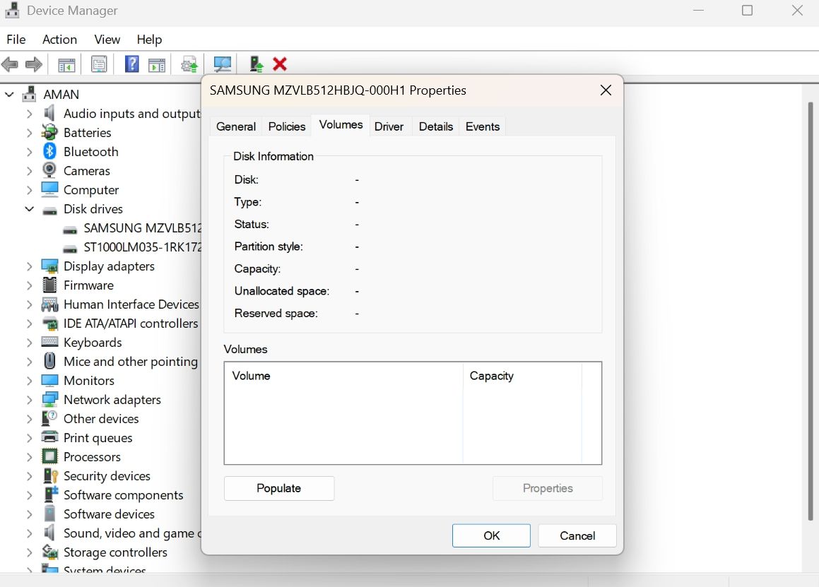 Populate option in Disk properties