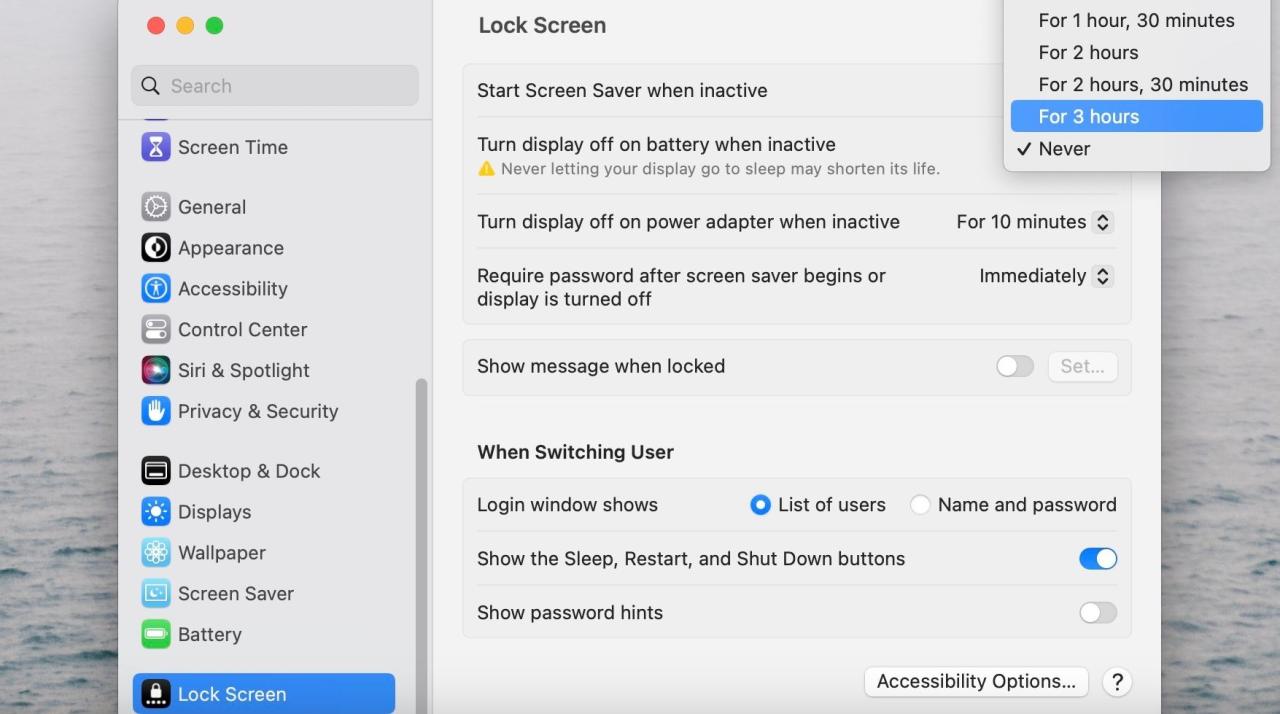 Screenshot of Lock Screen menu on a Mac