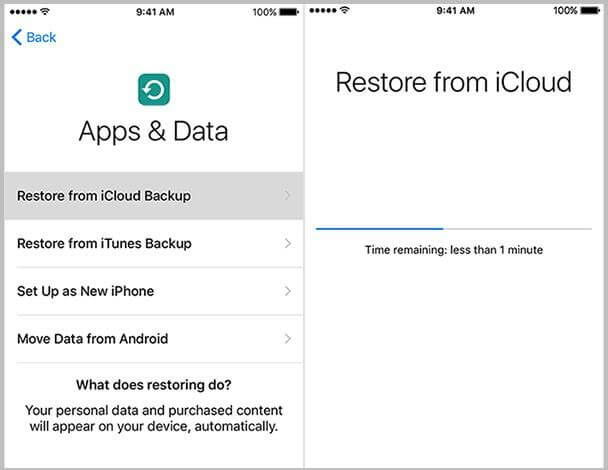 select restore icloud backup