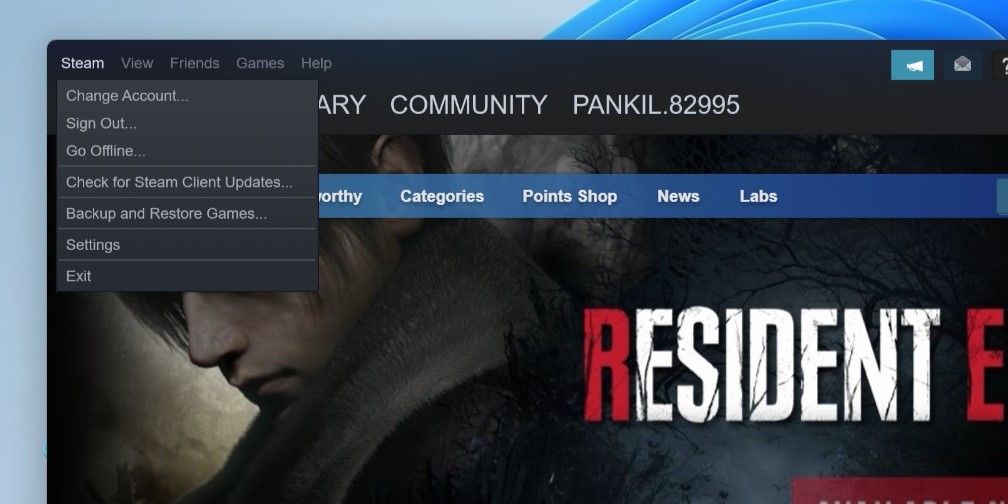 Update Steam on Windows