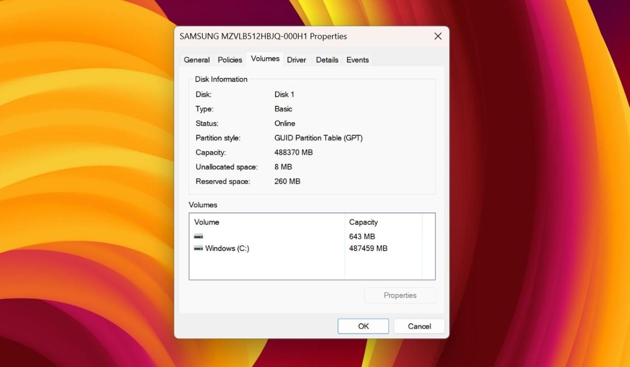 Volumes tab in Disk properties