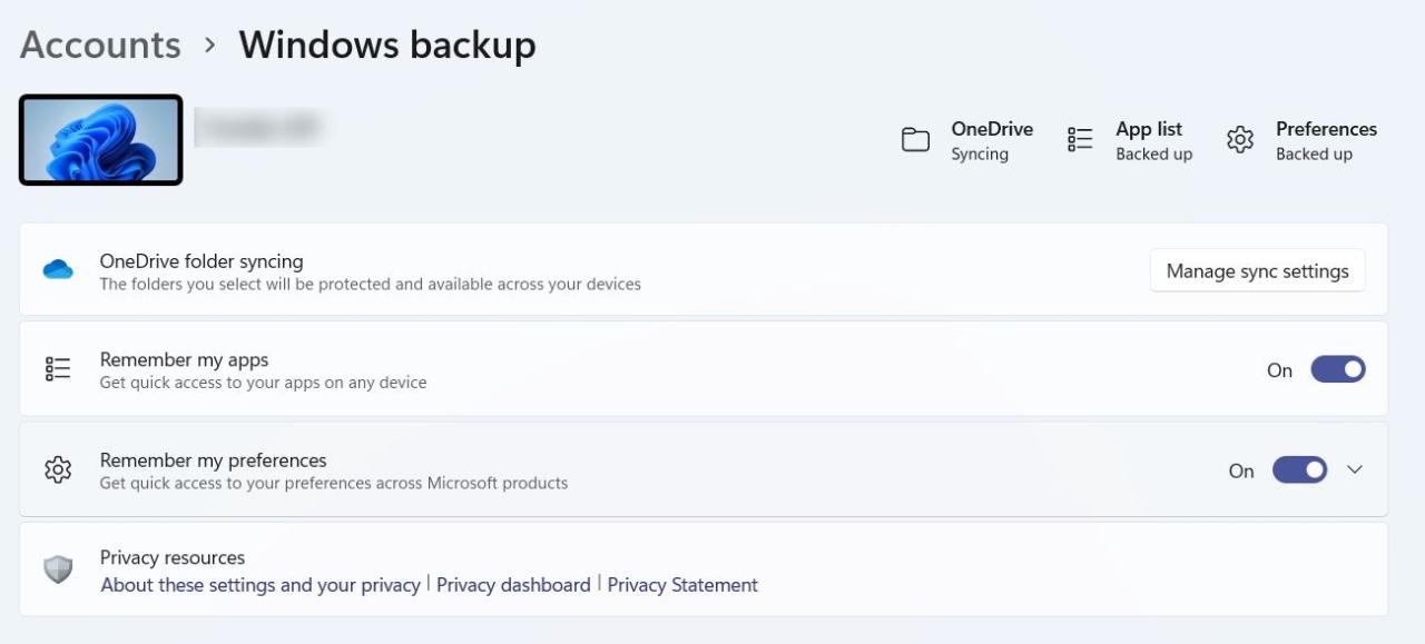 the Windows backup screen on Windows 11