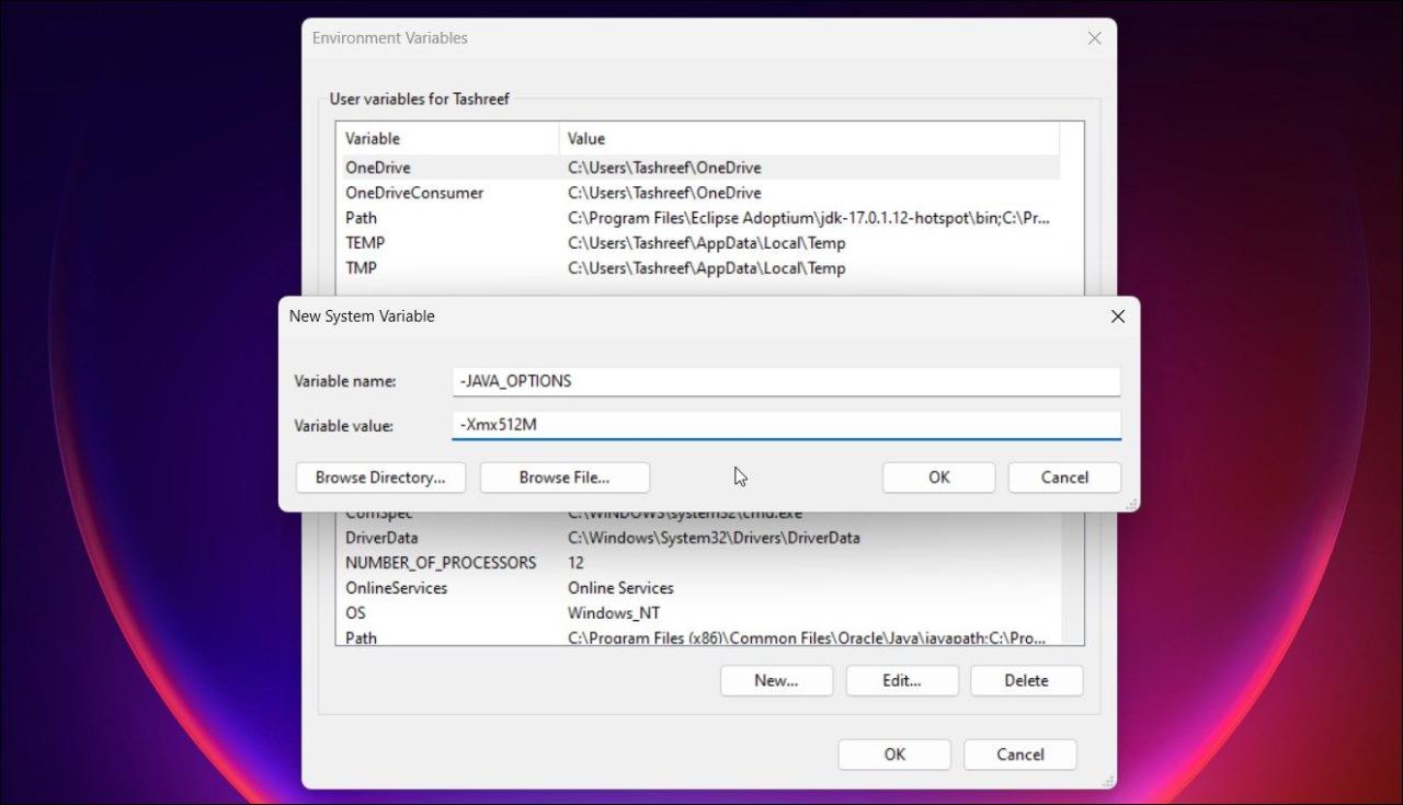 Windows new system variable java options