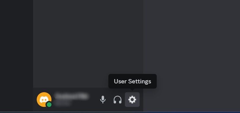 Go to Discord User Settings at the Bottom Left Corner