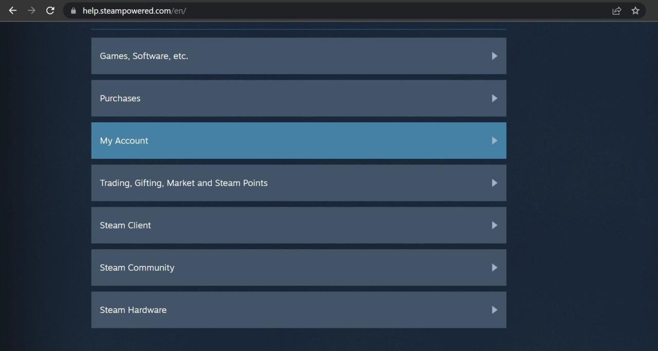 Click the My Account link on the Steam Support Page