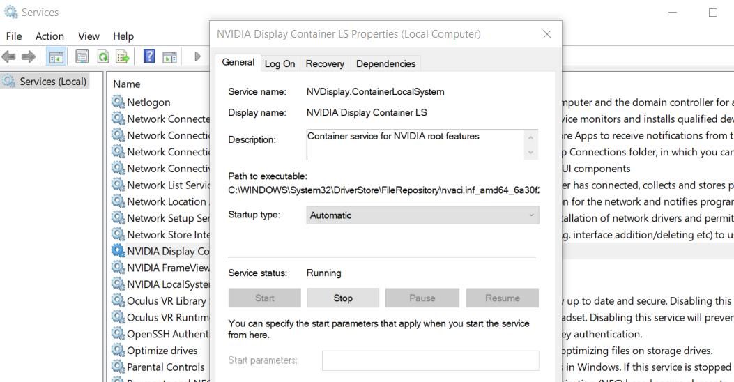 The NVIDIA Display Container service