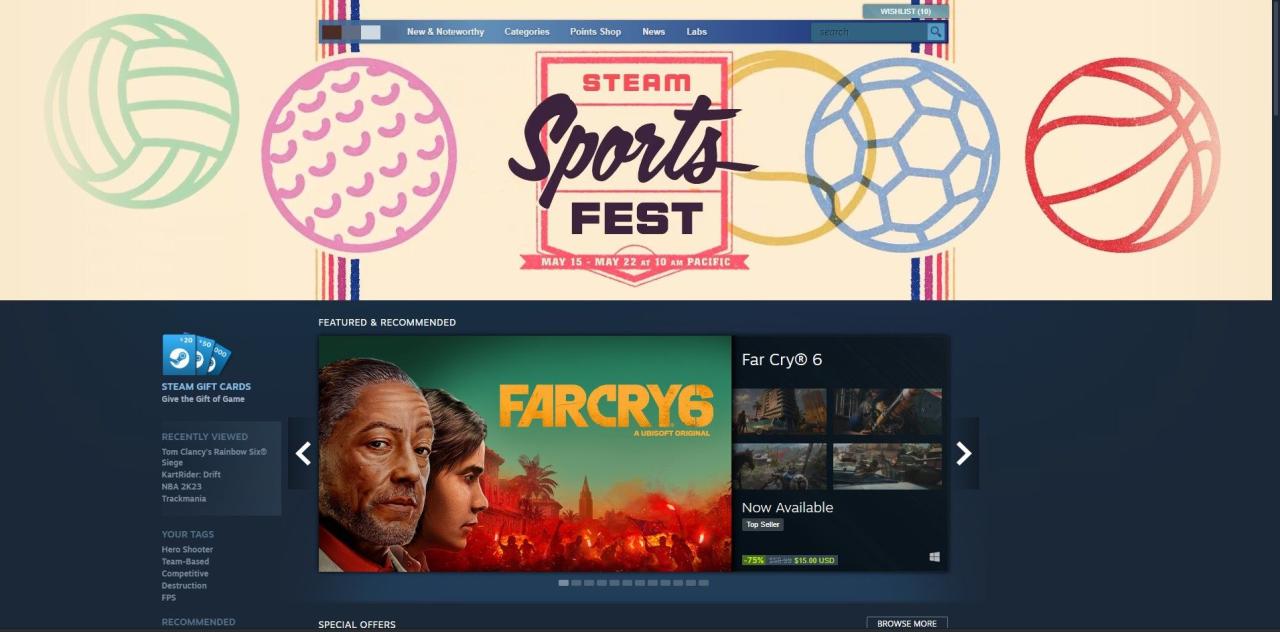 Screenshot Showing the Steam Home Page