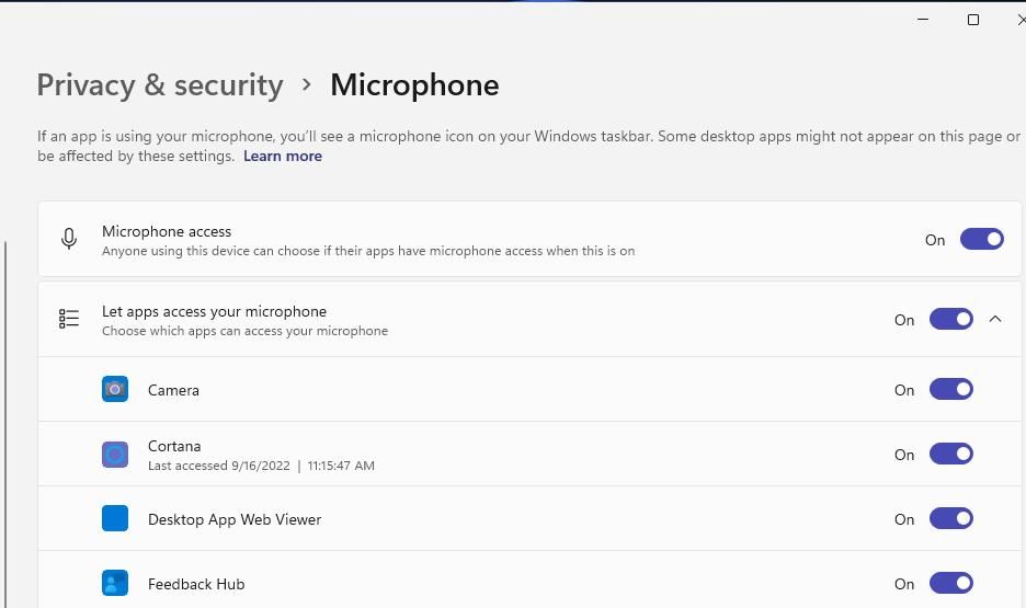 The Microphone access setting