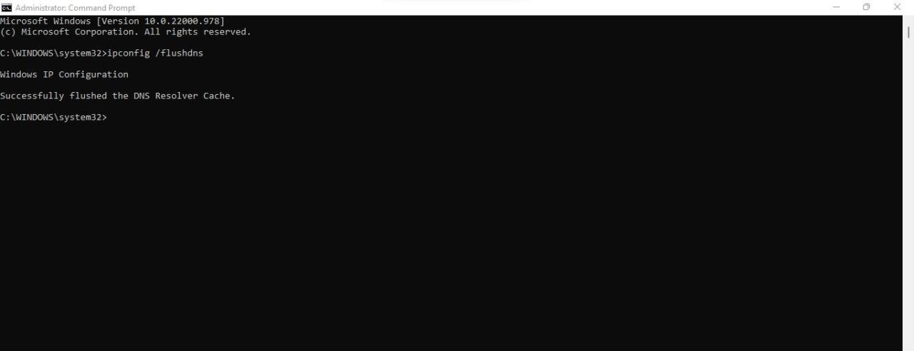 Flushing DNS Cache by Running the Command in Command Prompt App on Windows