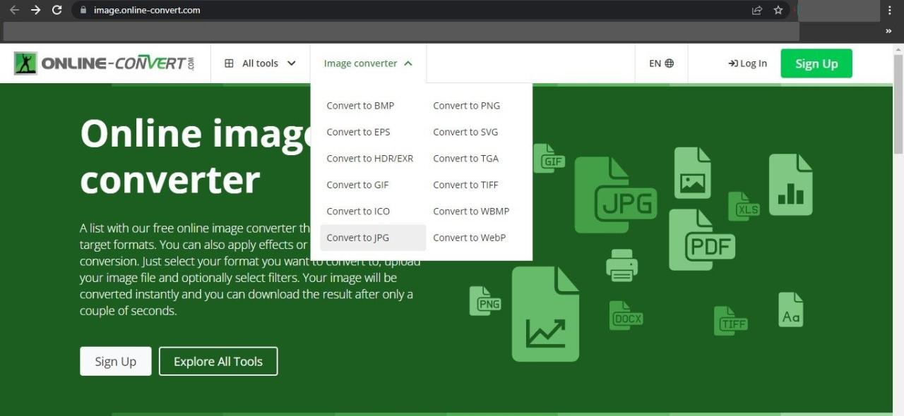 Choosing the JPG Format from the Dropdown Menu of Image Converter on the Online Convert Website