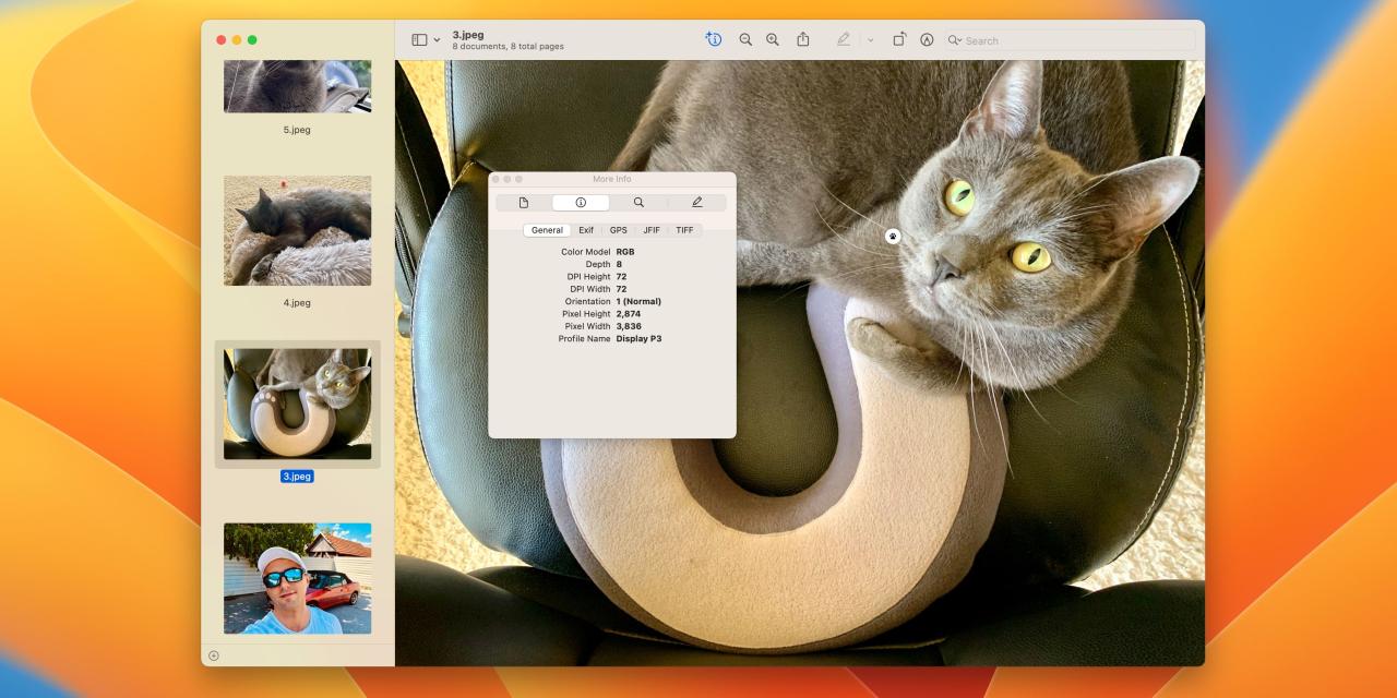 Using inspector in Preview for Mac to view image resolution and other details