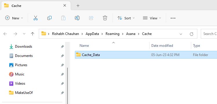 Asana Cache Folder