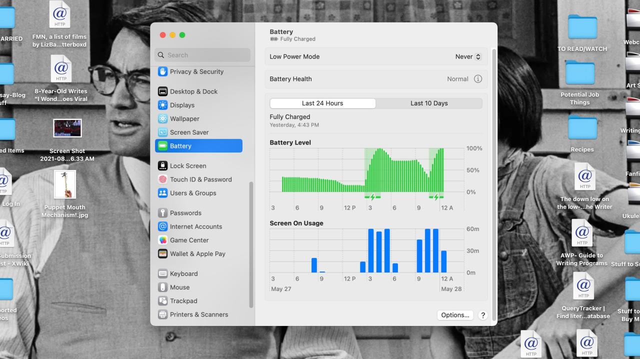 Battery menu in Mac System Settings