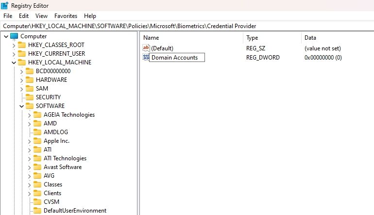 Naming the Value Domain Accounts