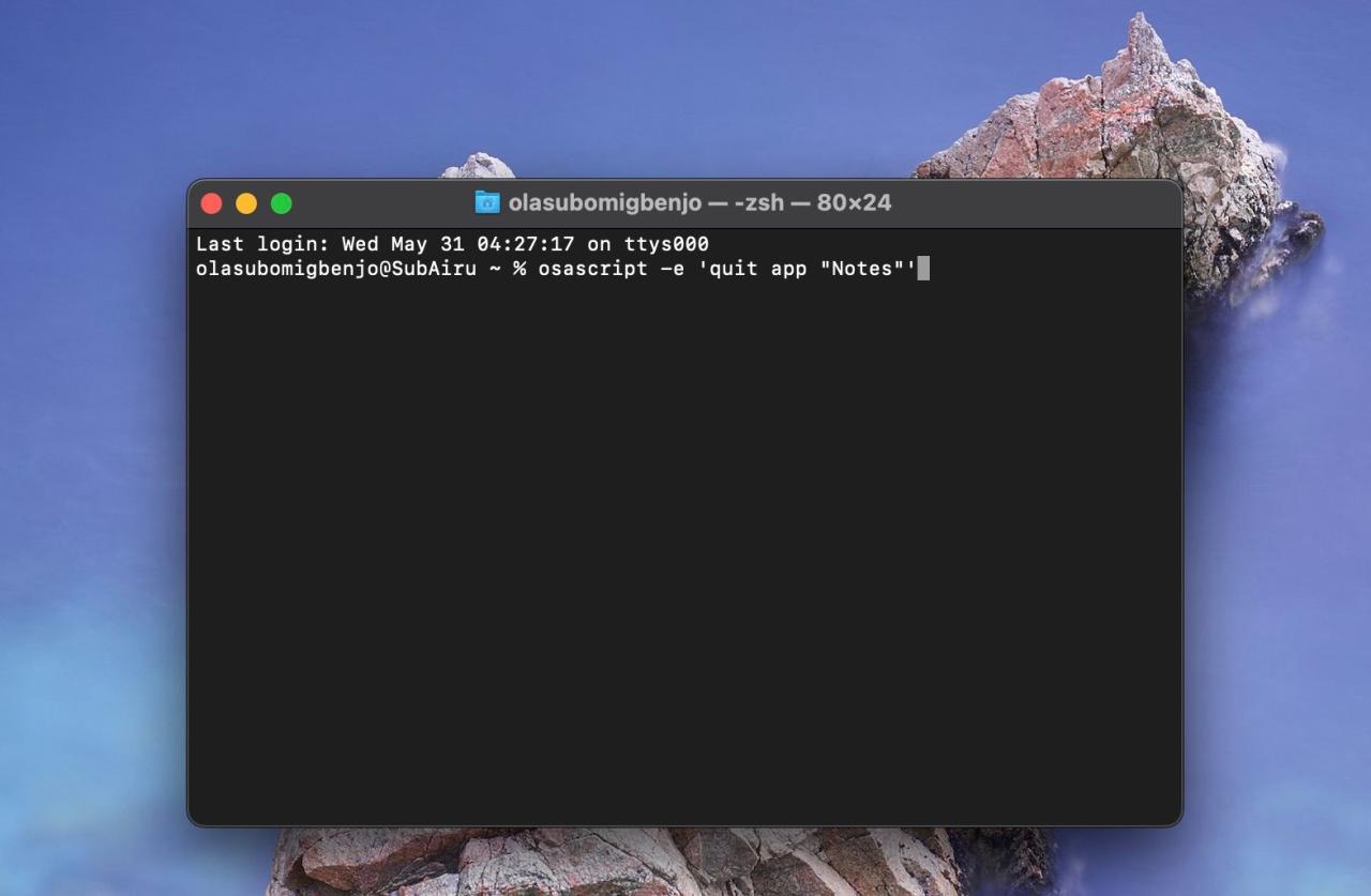 macOS Terminal 