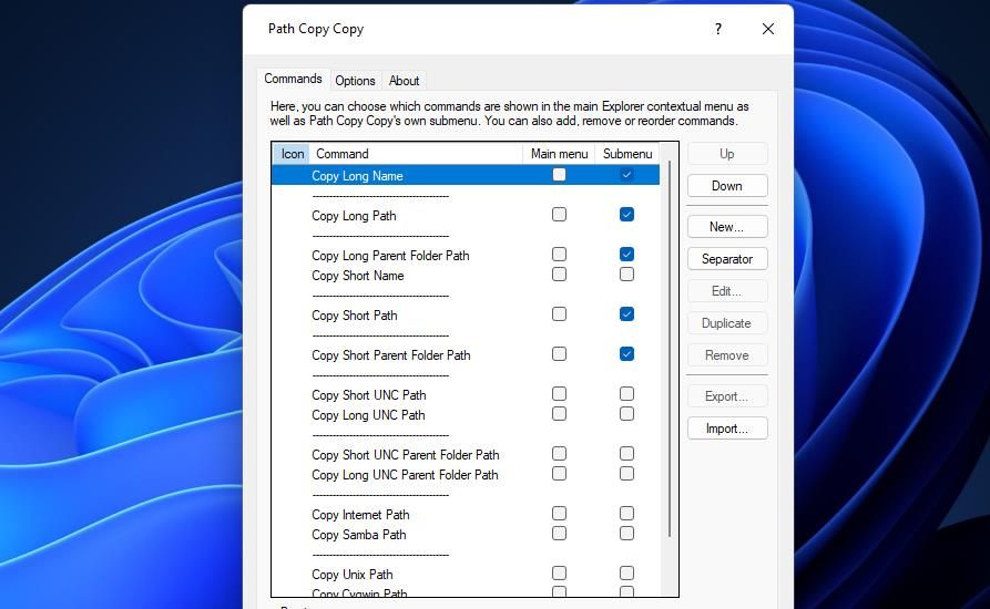 The Path Copy Copy window